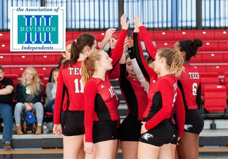 Entire Women’s Volleyball Team Earns AD3I Honors
